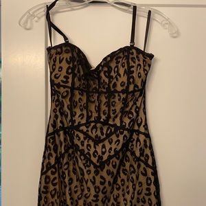 Bebe leopard lace cocktail dress